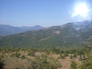 Naklejka premium the sun shines brightly