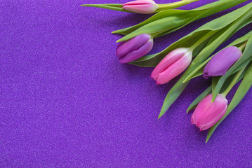 Purple and pink tulips on purple glitter background with copy space