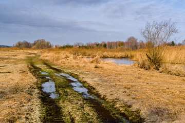 Dolina Górnej Narwi. Natura 2000. Wiosna na Podlasiu © podlaski49