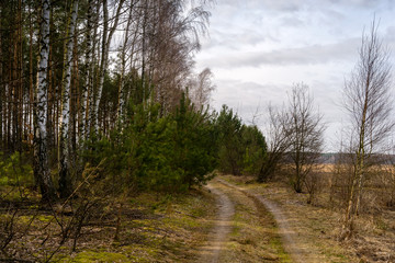 Dolina Górnej Narwi. Natura 2000. Wiosna na Podlasiu