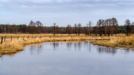 Dolina Górnej Narwi. Natura 2000. Wiosna na Podlasiu © podlaski49