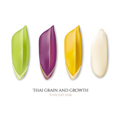 Thai grain and growth.