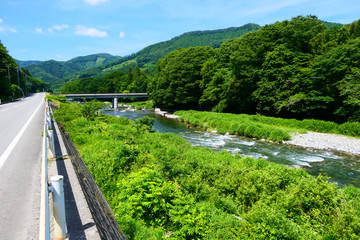 Fototapeta premium 山間地の清流。夏の気仙川。陸前高田 岩手 日本。７月上旬。