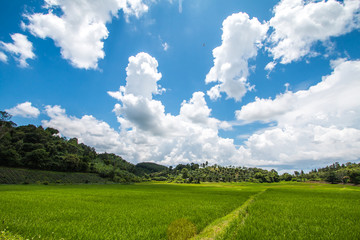 sky and cloud in background
