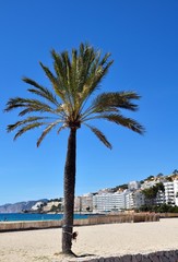 Paguera,Palma und Santa Ponsa auf Mallorca