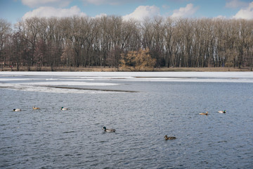 Komsomolsk lake in Victory Park in Minsk, Belarus