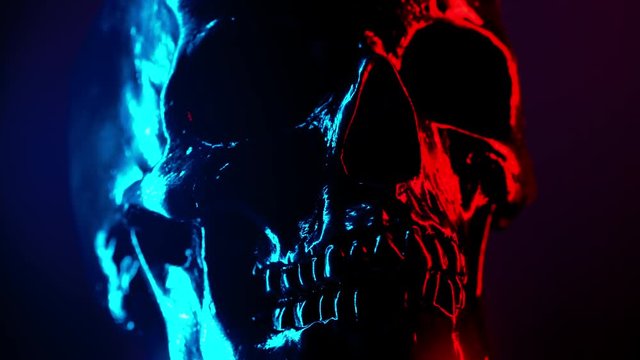 Ancient human skull head rotating close-up. Neon turquoise and red light. Spooky and sinister. Glamour, disco, halloween concept.