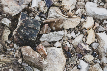 stones on the coast