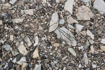 stones on the coast