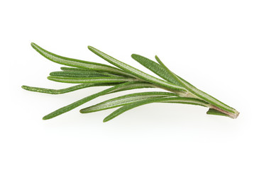 Fototapeta premium Fresh rosemary isolated on white background