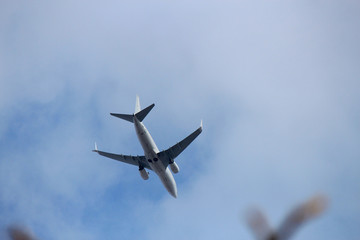  plane comes in the land