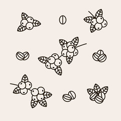 Coffee beans set. Collection icon coffee. Vector