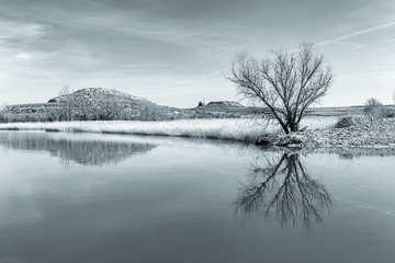 Toned Image of Winter Landscape with Tree Reflectring on a Pond