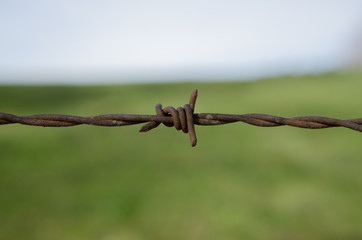 Stacheldraht