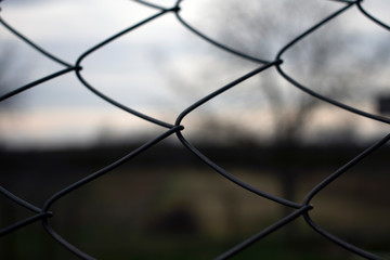 Wire fence view with trees and sky in background