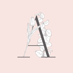 Vector Blooming Floral Elegant A Monogram and Logo