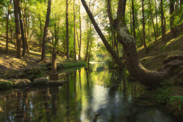 Nacimiento del r&iacute;o Ebro