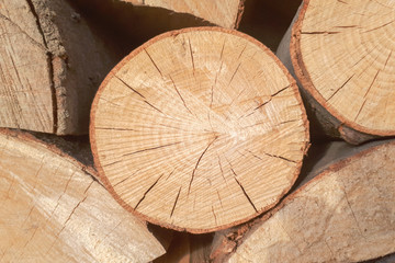 The rings of dry oak. Texture of cracked oak wood.