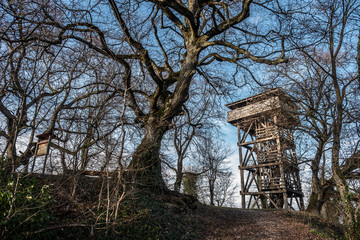 Aussichtsturm aus Holz zwischen kahlen Bäumen auf dem Käpfle bei Gönningen