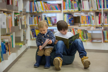 Smart children, boy brothers, educating themselves in a library