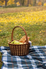 Fototapeta na wymiar Picnic basket with food on a blue plaid, against the background of greenery and foliage. Baking with fruit inside the basket, the author's processing.