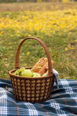 Picnic basket with food on a blue plaid, against the background of greenery and foliage. Baking with fruit inside the basket, the author's processing.