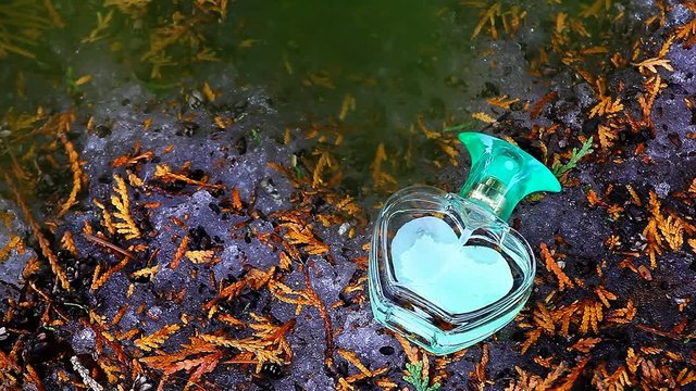spring forest glass perfume bootle heart symbol nobody hd footage 