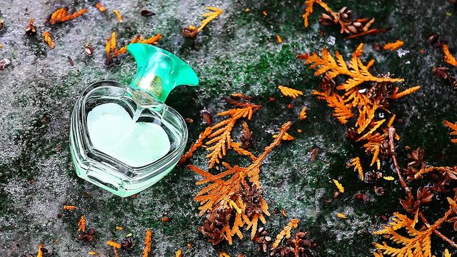 spring forest glass perfume bootle heart symbol nobody hd footage 