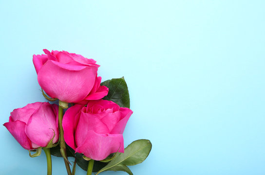 รูปภาพRoes-Flower – เลือกดูภาพถ่ายสต็อก เวกเตอร์ และวิดีโอ241 | Adobe Stock