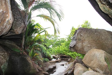 Mountain landscape. Green tropical trees on the mountain slopes.