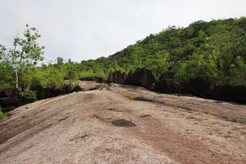 Mountain landscape. Green tropical trees on the mountain slopes.