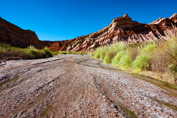 Argentina. Weird sandstone rockformations between Cachi and Cafayate in Salta, Argentina. This photo is taken at the Cuevas the Acsibi, a remote natural highlight along ruta 40. 