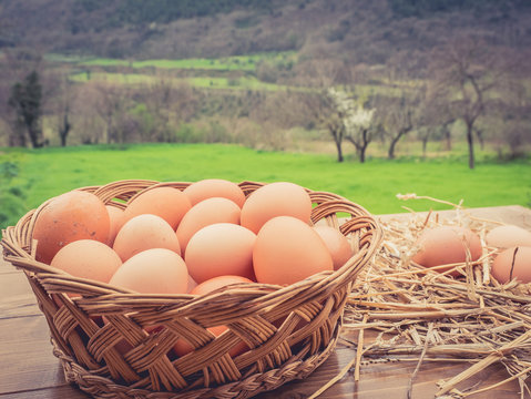 basket of fresh Italian eggs and hay, on wooden table, in the background the panorama in the nature with trees and green meadows of the valley