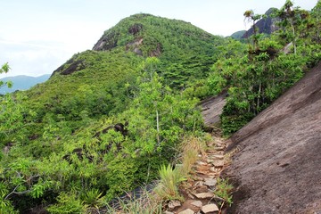 Mountain landscape. Green tropical trees on the mountain slopes.