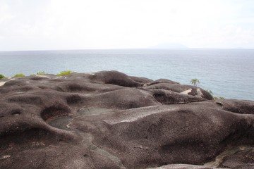 Mountain landscape. Green tropical trees on the mountain slopes.