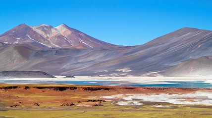 Beautiful Piedras Rojas in the Atacama desert, Chile. 