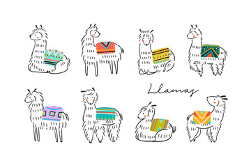 Graphic sketchy llamas in various poses with colorful carpets on back. Hand drawn trendy vector illustration. All elements are isolated - obrazy, fototapety, plakaty