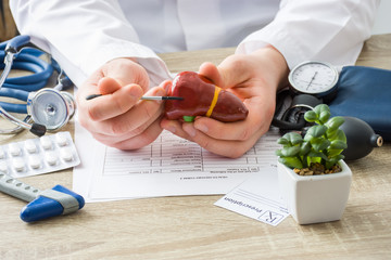 At doctors appointment physician shows to patient shape of liver with focus on hand with organ....