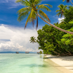 Fototapeta na wymiar Tropical beach. Nobody. View of paradise tropical beach with coconut palms