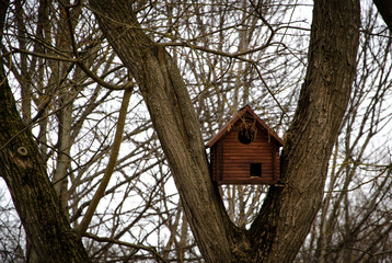 birdhouse on tree