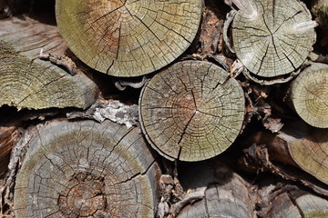 Naklejka premium stacked brown wood – can be used as a background