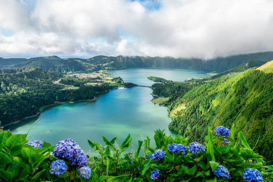 View over the crater lake at sete cidades on Sao Miguel island, with hydrangeas in the front.
