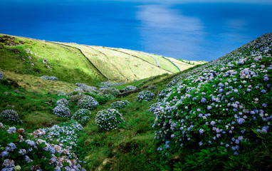 Portugal, the Azores. View on the eastside of Corvo island and the atlantic ocean.