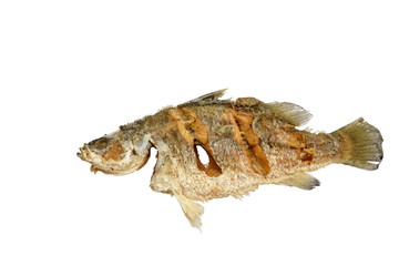 deep fried salty bass fish with garlic on white background