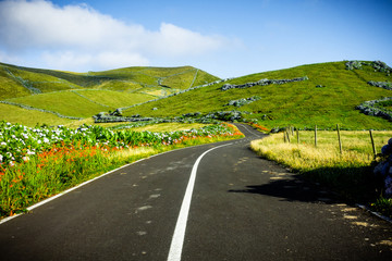 Azores landscape: Endless curvy winding road through the hills of Flores island, the Azores, Portugal.