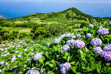 View from Pico volcano on the green fields of Pico island, the Azores, Portugal