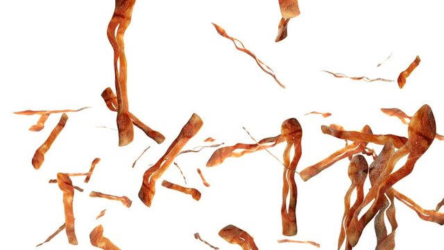 Fried bacon flying in slow motion against white