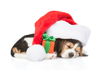 Beagle puppy sleep in red christmas hat with gift box. isolated on white background