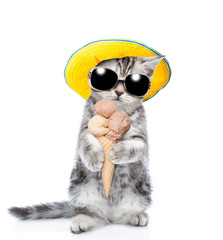 Tabby kitten in sunglasses and summer hat holding ice cream. isolated on white background