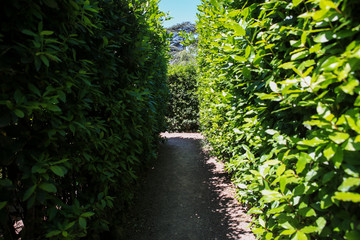 green corridor from Lavra